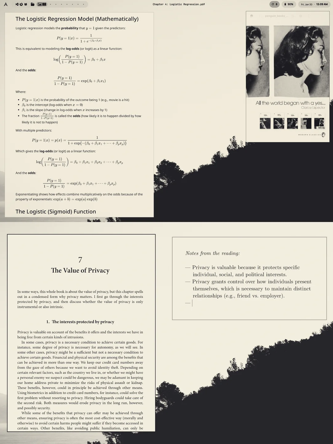 E-ink shader rice