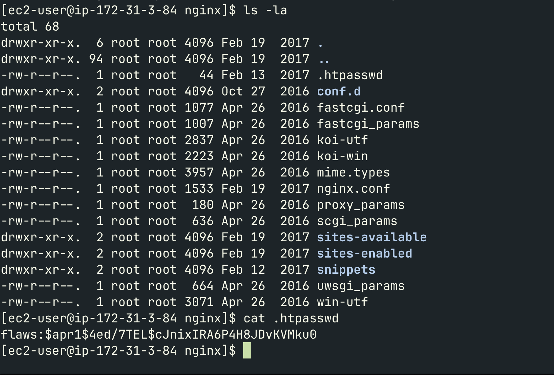 .htpasswd nginx level 4