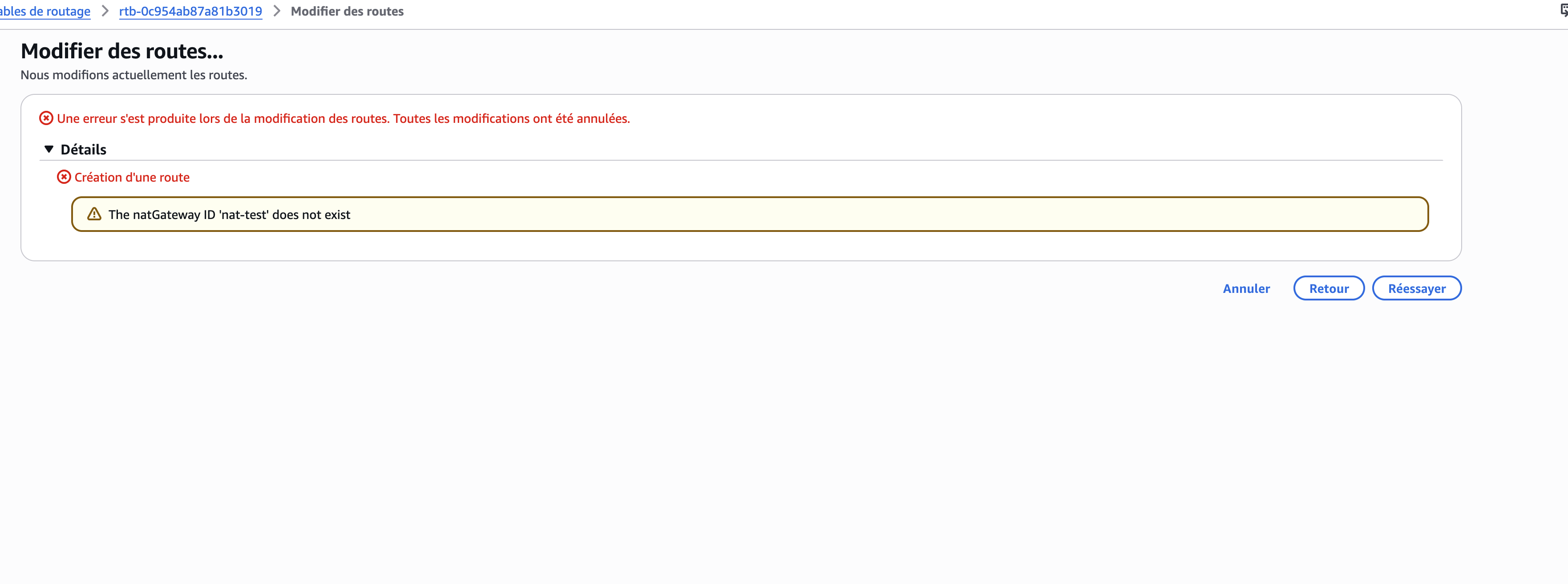 Erreur : NAT Gateway ID invalide