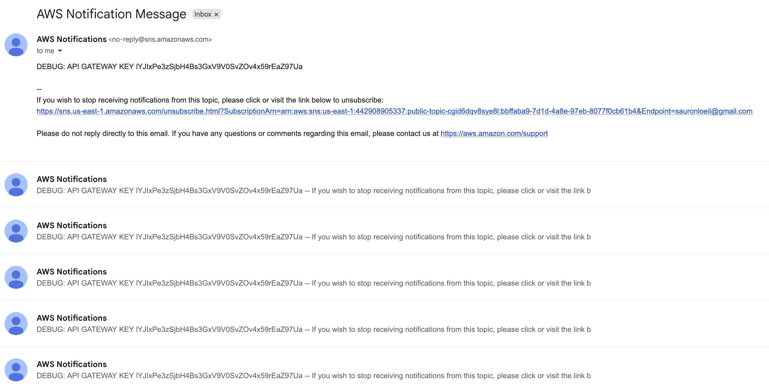 API key leakée via SNS